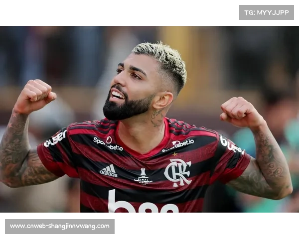 解放者杯1-4决赛，弗拉门戈门将罗西扑点立大功