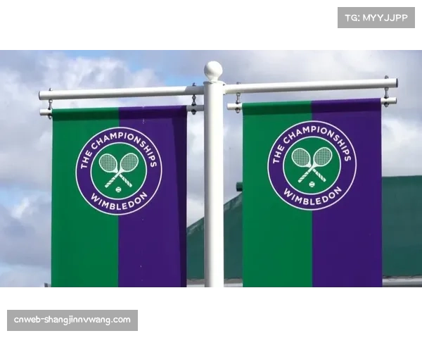 温网组委会就是否全面启用电子司线进行内部评估