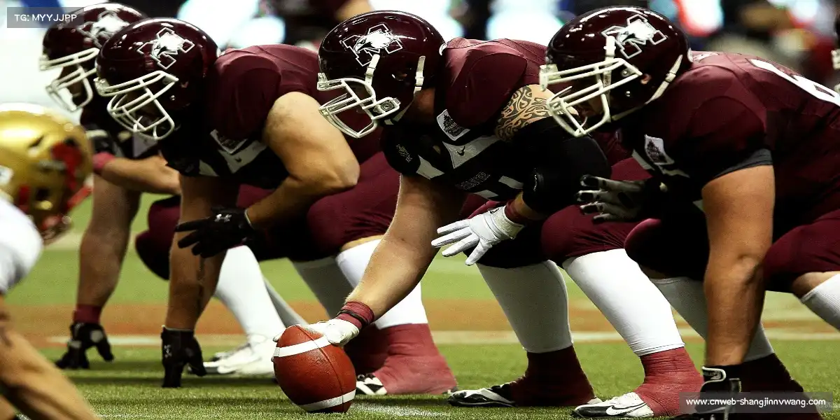 赏金女王官网——❄️雪车疾驰，冰轨流星！